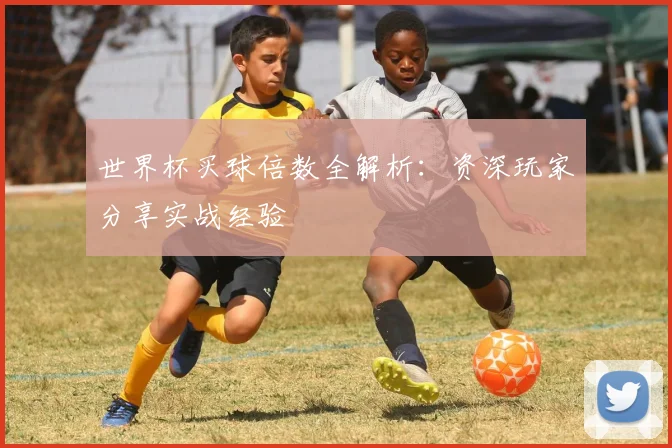 世界杯买球倍数全解析:资深玩家分享实战经验
