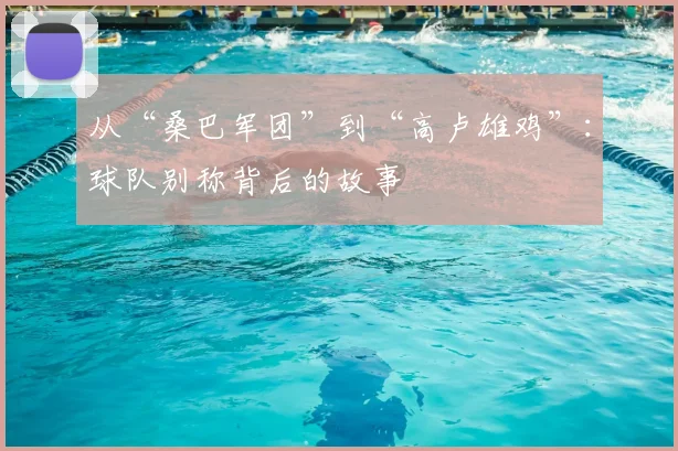 从“桑巴军团”到“高卢雄鸡”：球队别称背后的故事
