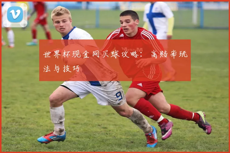 世界杯现金网买球攻略:高赔率玩法与技巧