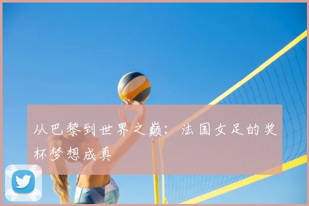 从巴黎到世界之巅:法国女足的奖杯梦想成真