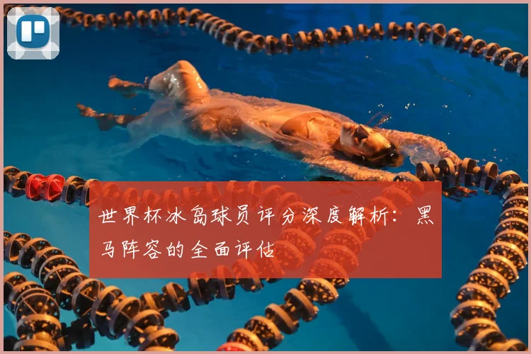 世界杯冰岛球员评分深度解析:黑马阵容的全面评估