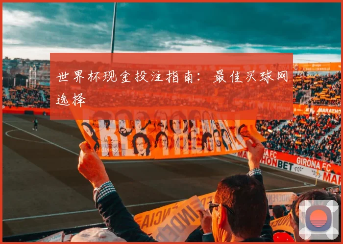 世界杯现金投注指南:最佳买球网选择